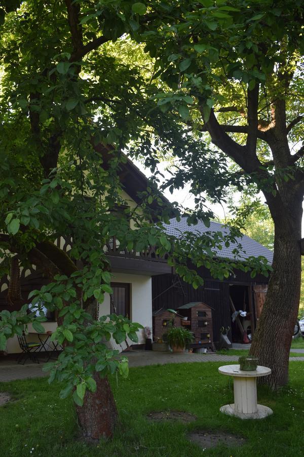 Gästehaus Bohg Burg  Exterior foto